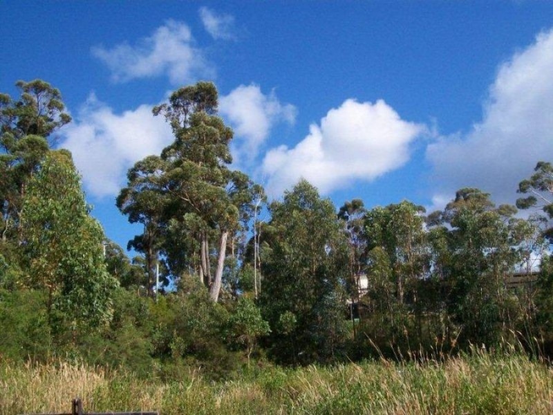 5 Richardsons Drive, Eaglehawk Neck TAS 7179