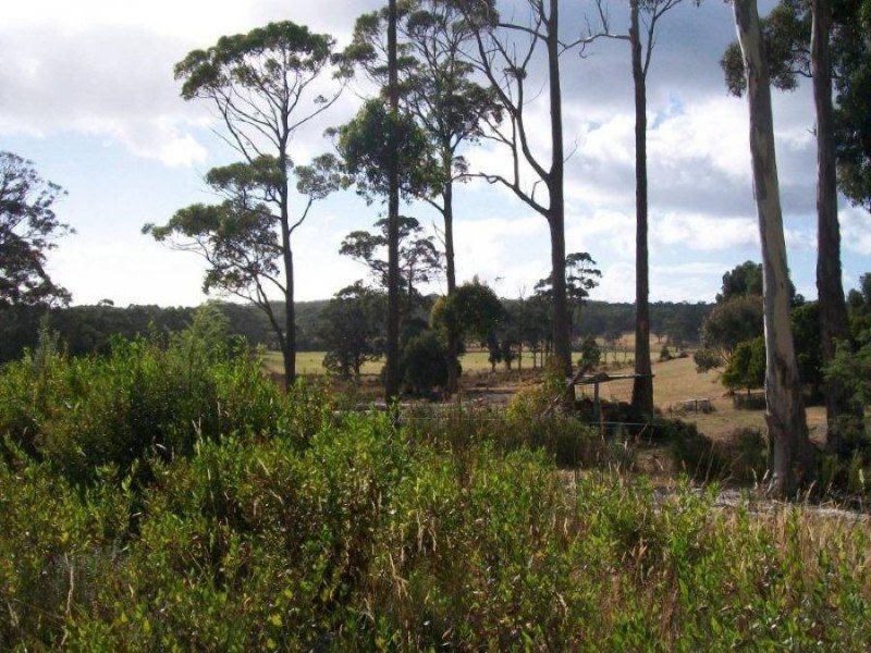 5 Richardsons Drive, Eaglehawk Neck TAS 7179