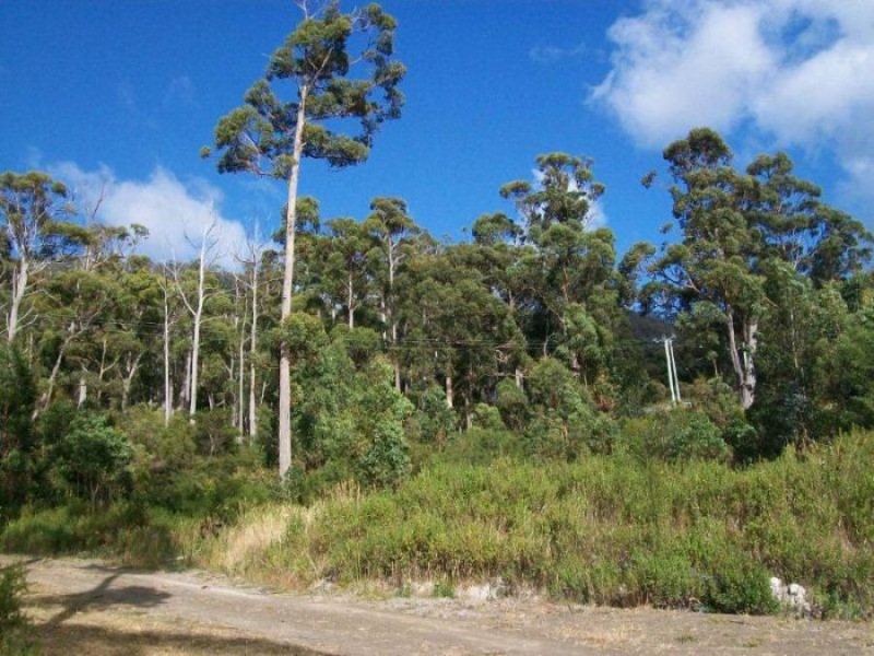 5 Richardsons Drive, Eaglehawk Neck TAS 7179
