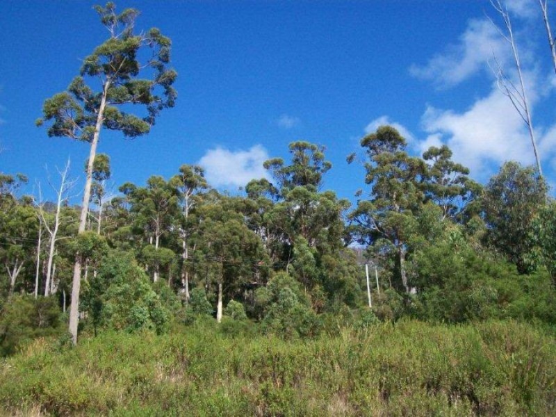 5 Richardsons Drive, Eaglehawk Neck TAS 7179