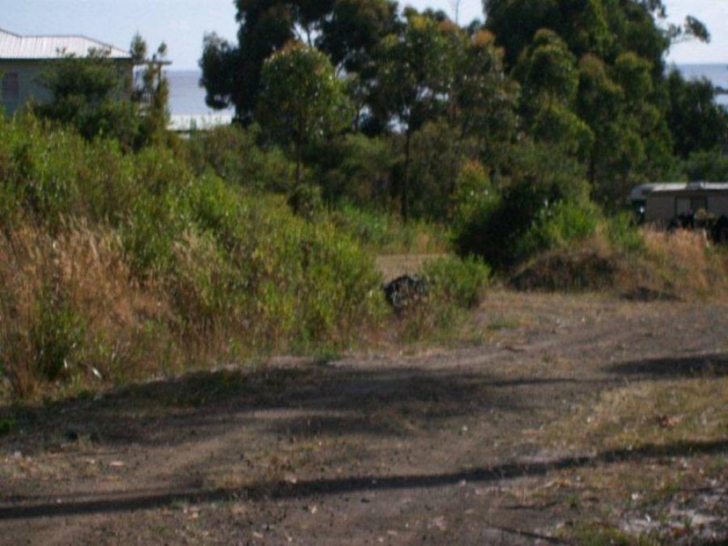 5 Richardsons Drive, Eaglehawk Neck TAS 7179