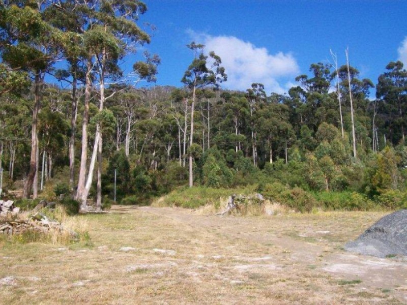 5 Richardsons Drive, Eaglehawk Neck TAS 7179