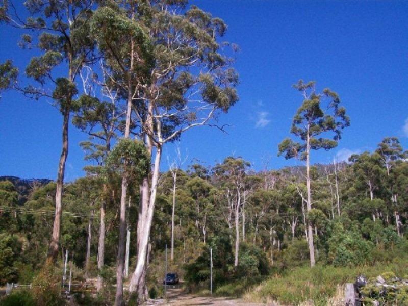 5 Richardsons Drive, Eaglehawk Neck TAS 7179
