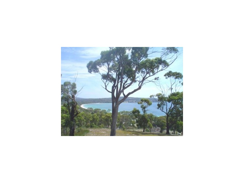 159 White Beach Road, White Beach TAS 7184