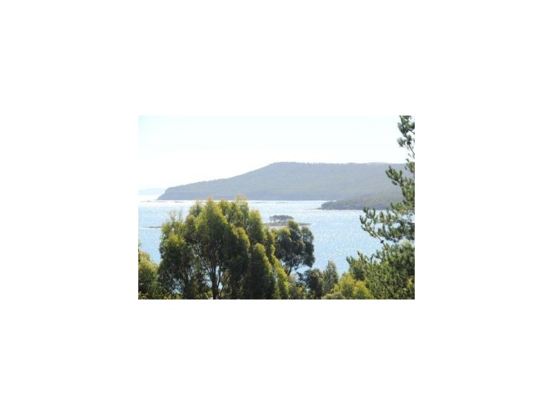 159 White Beach Road, White Beach TAS 7184