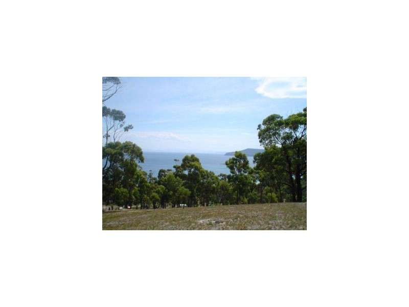 159 White Beach Road, White Beach TAS 7184