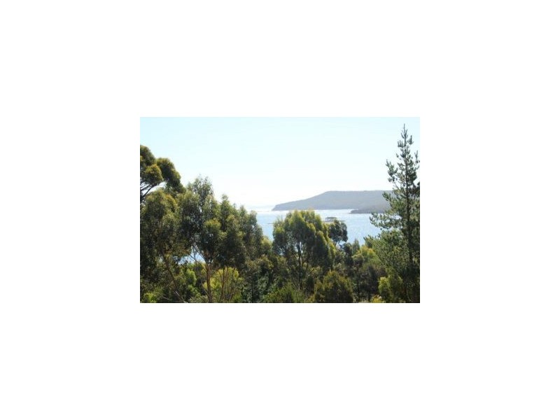 159 White Beach Road, White Beach TAS 7184