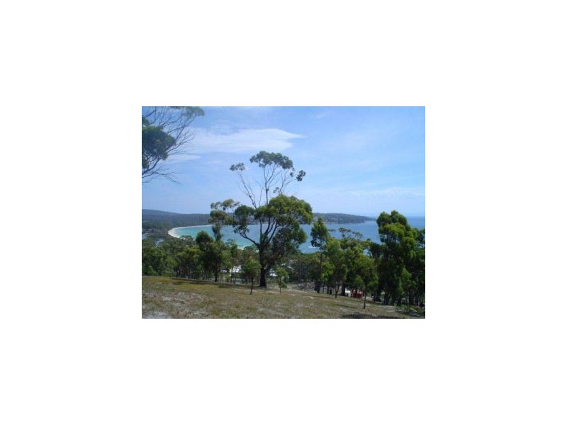 159 White Beach Road, White Beach TAS 7184