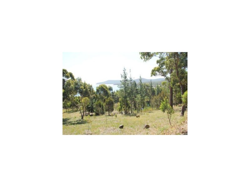 159 White Beach Road, White Beach TAS 7184