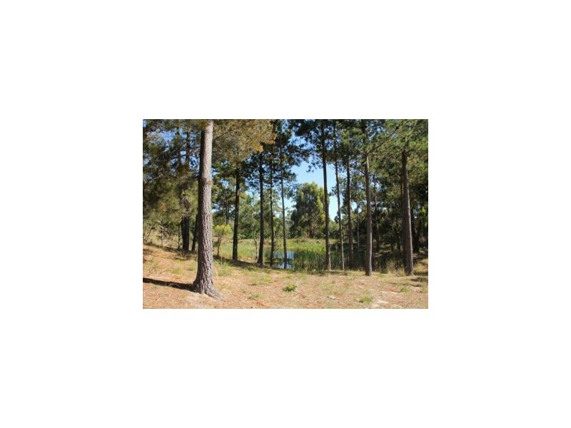 159 White Beach Road, White Beach TAS 7184