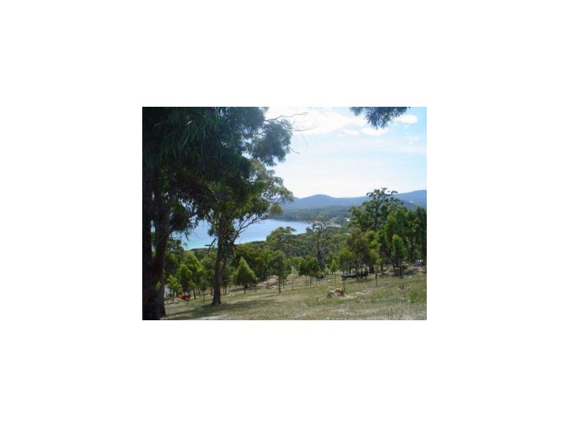 159 White Beach Road, White Beach TAS 7184