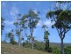 159 White Beach Road, White Beach TAS 7184