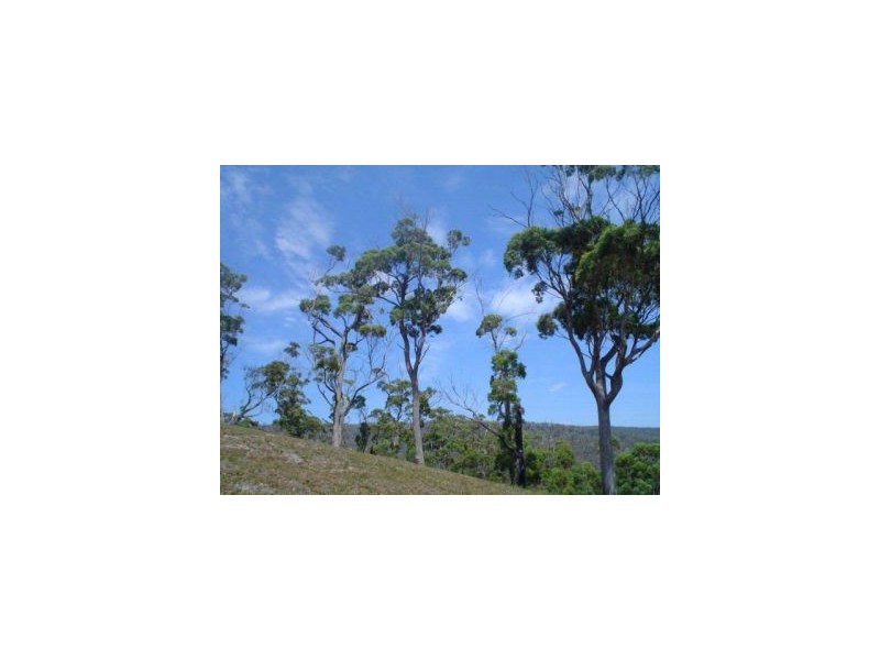 159 White Beach Road, White Beach TAS 7184