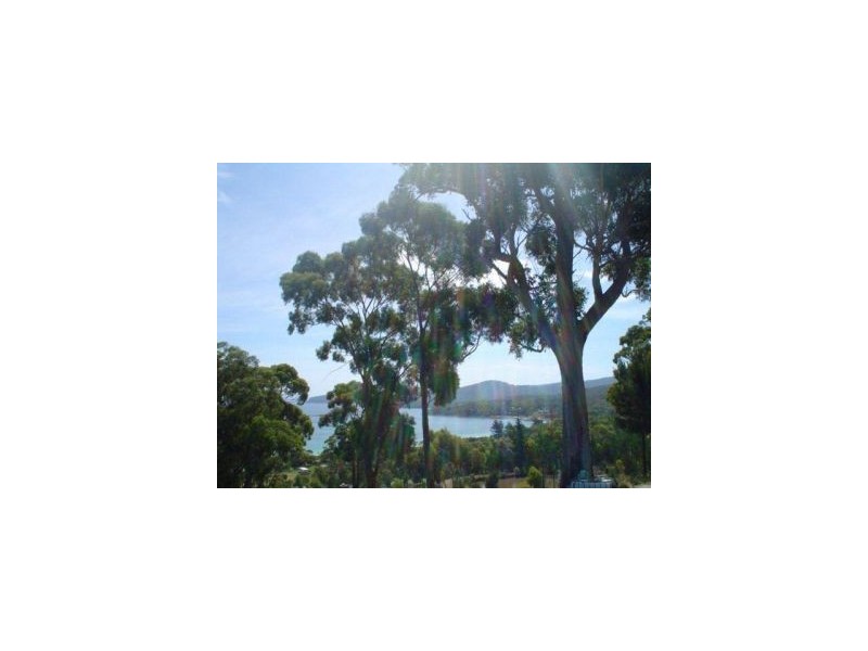 159 White Beach Road, White Beach TAS 7184