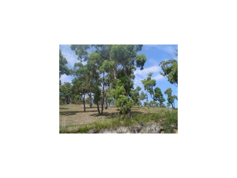 159 White Beach Road, White Beach TAS 7184