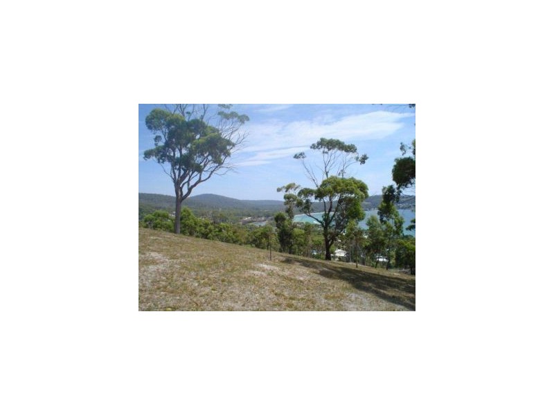 159 White Beach Road, White Beach TAS 7184