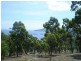 159 White Beach Road, White Beach TAS 7184