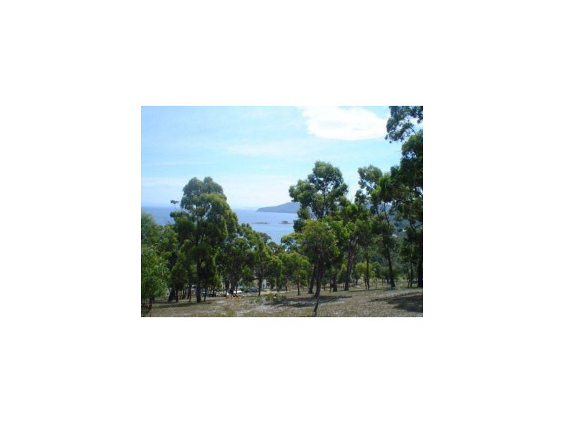 159 White Beach Road, White Beach TAS 7184