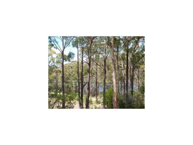 196 Old Jetty Road, Eaglehawk Neck TAS 7179