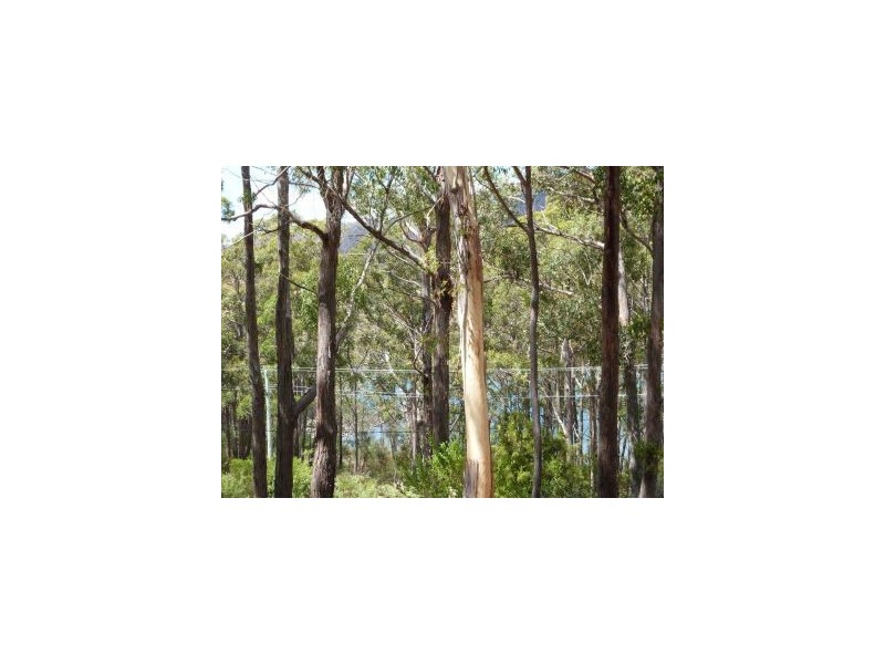 196 Old Jetty Road, Eaglehawk Neck TAS 7179