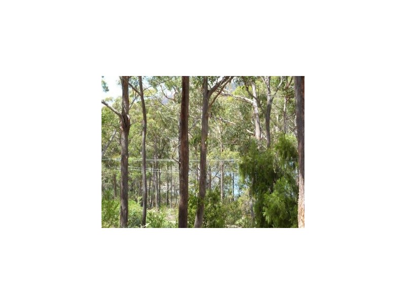 196 Old Jetty Road, Eaglehawk Neck TAS 7179