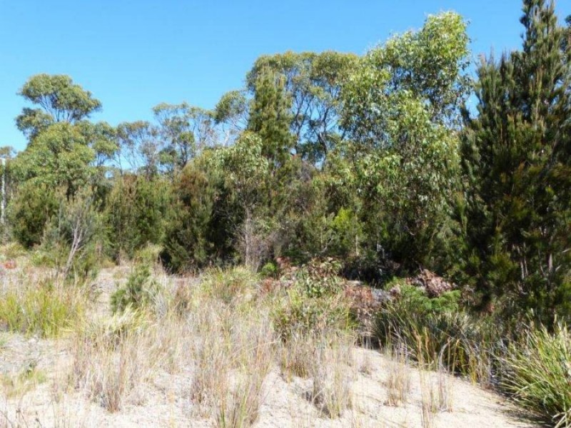 Lot 2 Skeggs Avenue, White Beach TAS 7184