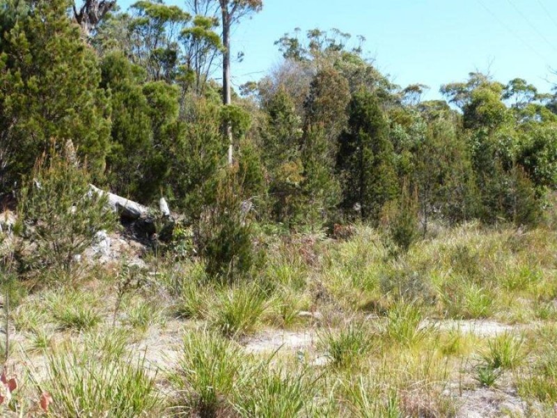 Lot 2 Skeggs Avenue, White Beach TAS 7184