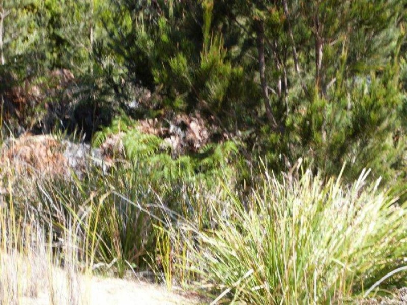 Lot 2 Skeggs Avenue, White Beach TAS 7184