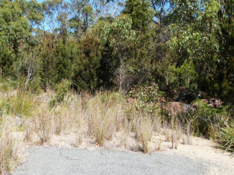 Lot 2 Skeggs Avenue, White Beach TAS 7184