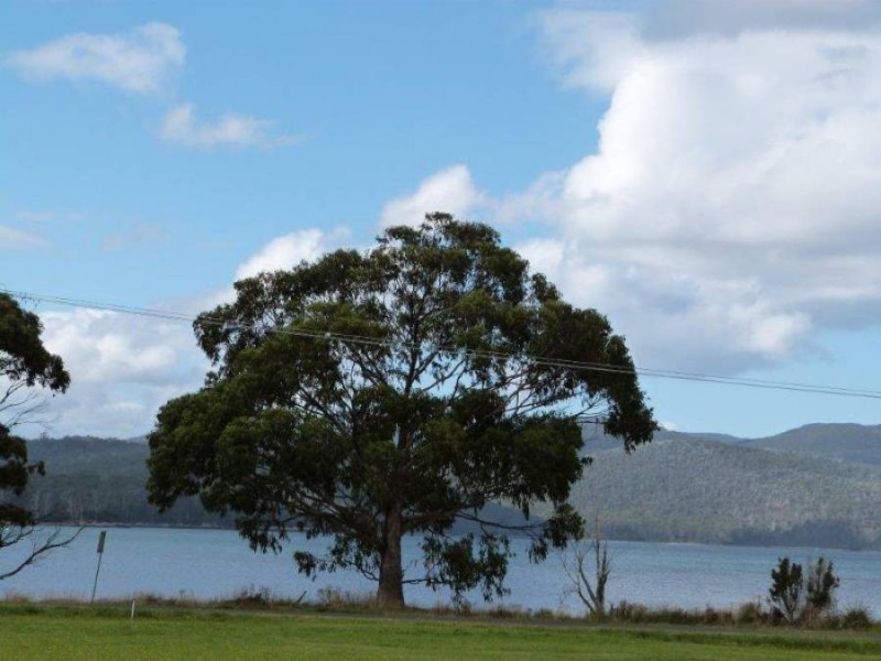 Lot 2 Bellettes Place, Port Arthur TAS 7182