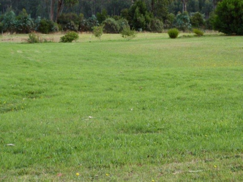 Lot 2 Bellettes Place, Port Arthur TAS 7182