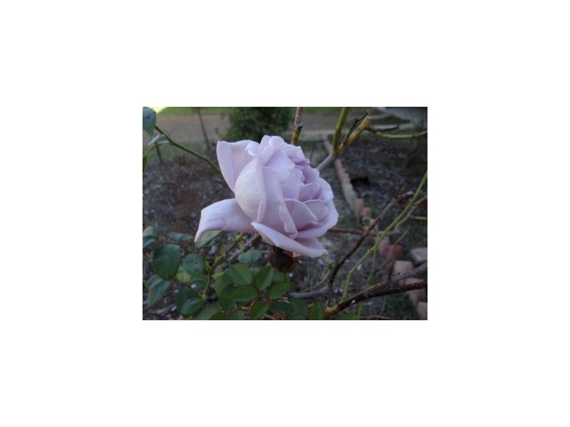 3930 Arthur Highway, Murdunna TAS 7178