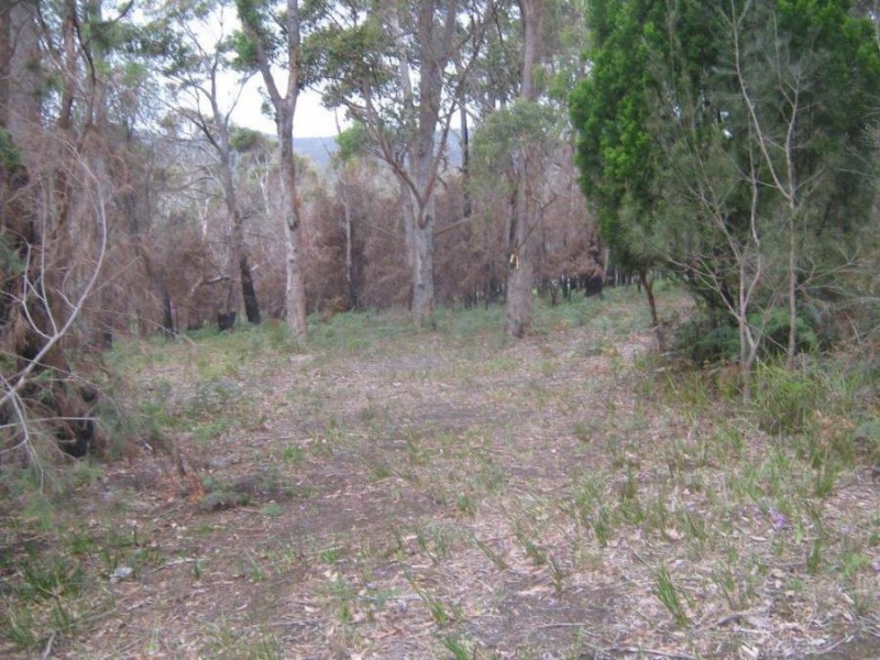 Lot 5 Hawker Street, Murdunna TAS 7178