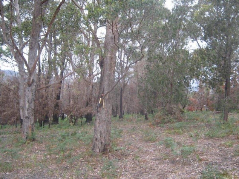 Lot 5 Hawker Street, Murdunna TAS 7178