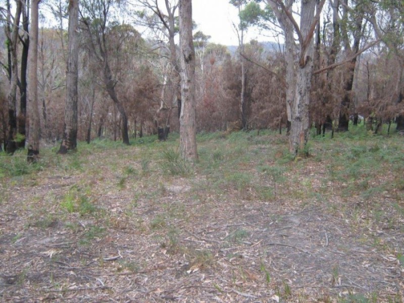 Lot 5 Hawker Street, Murdunna TAS 7178