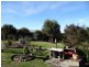 36 Penzance Road, Eaglehawk Neck TAS 7179