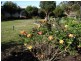 36 Penzance Road, Eaglehawk Neck TAS 7179