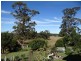 36 Penzance Road, Eaglehawk Neck TAS 7179