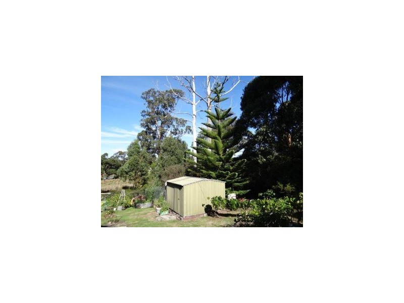 36 Penzance Road, Eaglehawk Neck TAS 7179
