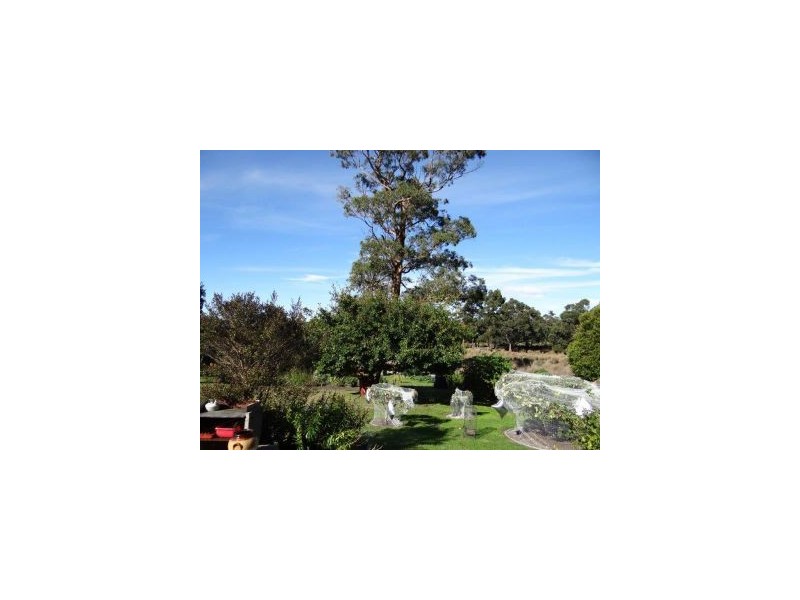 36 Penzance Road, Eaglehawk Neck TAS 7179