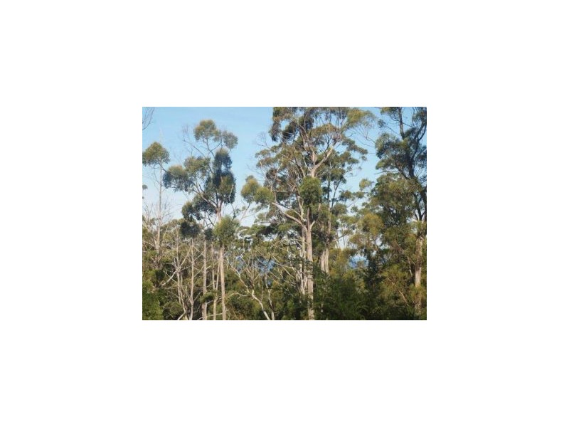 Lot 9 Pirates Bay Drive, Eaglehawk Neck TAS 7179