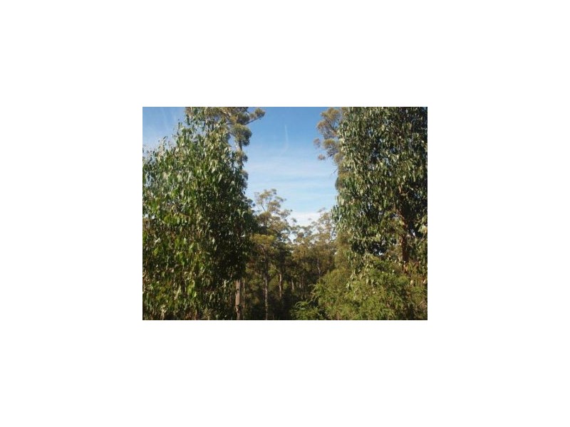 Lot 9 Pirates Bay Drive, Eaglehawk Neck TAS 7179