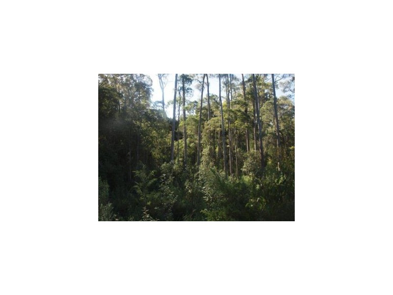Lot 9 Pirates Bay Drive, Eaglehawk Neck TAS 7179