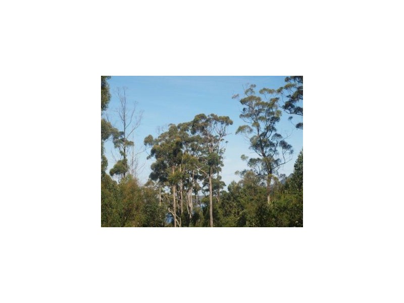 Lot 9 Pirates Bay Drive, Eaglehawk Neck TAS 7179