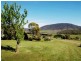 1974 Arthur Highway, Copping TAS 7174
