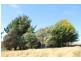 600 Rhyndaston Road, Rhyndaston TAS 7120