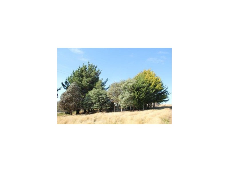 600 Rhyndaston Road, Rhyndaston TAS 7120