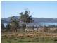 2725 Arthur Highway, Dunalley TAS 7177