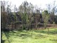 2725 Arthur Highway, Dunalley TAS 7177