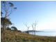 Lot 1 Island Rise Estate, White Beach TAS 7184